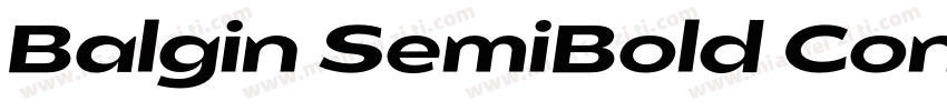Balgin SemiBold Cond字体转换